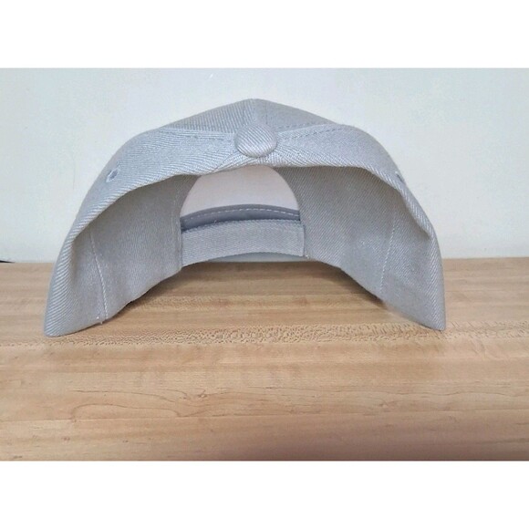 Columbia Fireflies New Hat Men’s Gray Strapback Embroidered Baseball MiLB - Picture 2 of 3